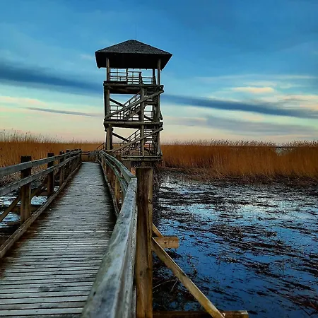 Between And Sea * Liepaja
